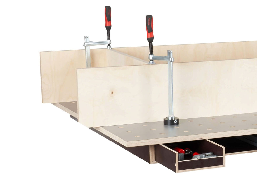 Zwinge TW 16 mit Adapterscheibe und Klemmbolzen ø20 mm - RUWI I Werkzeuge für Holzprofis