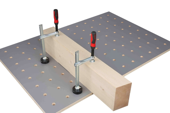 Zwinge TW 16 mit Adapterscheibe und Klemmbolzen ø20 mm - RUWI I Werkzeuge für Holzprofis
