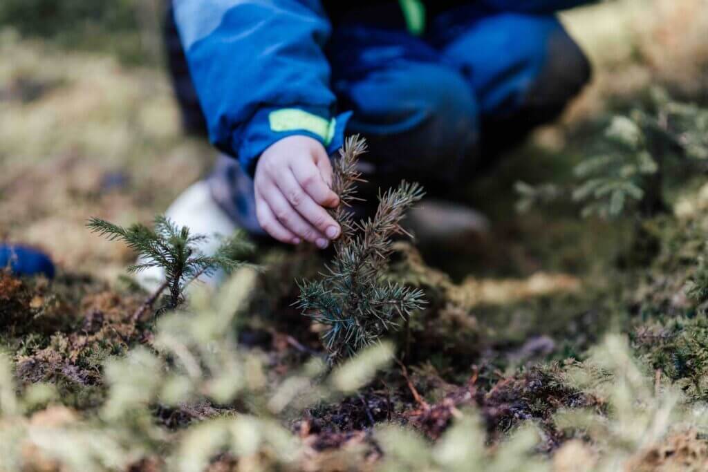 Baumpflanzaktion mit dem Kindergarten - RUWI I Werkzeuge für Holzprofis