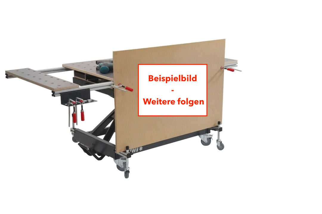 RUWI Hubtisch Classic mit Zubehör gebraucht