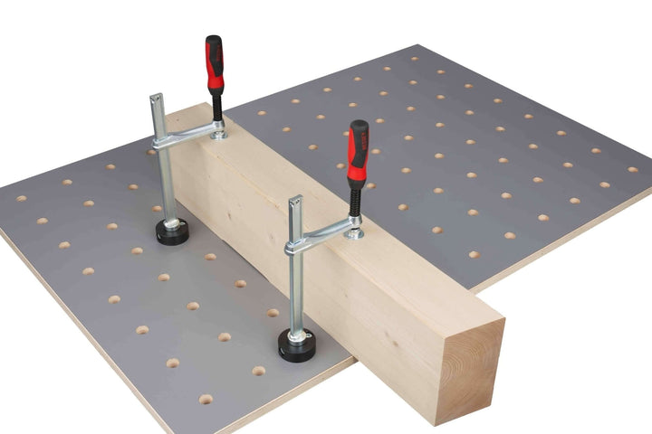 Zwinge TW 16 mit Adapterscheibe und Klemmbolzen ø20 mm - RUWI I Werkzeuge für Holzprofis