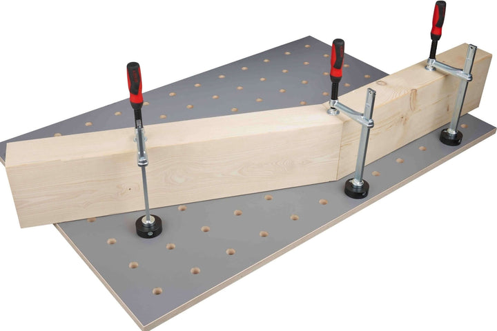 Zwinge TW 16 mit Adapterscheibe und Klemmbolzen ø20 mm - RUWI I Werkzeuge für Holzprofis